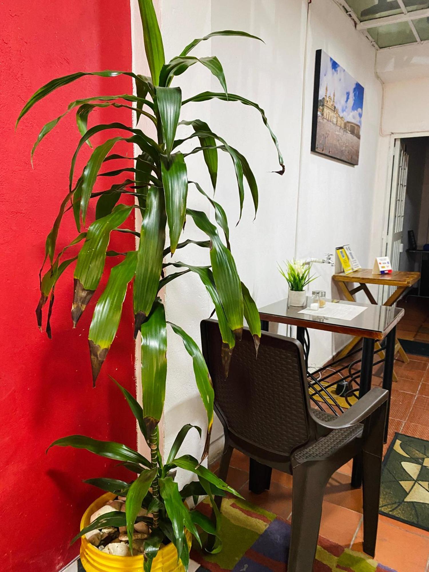 Bogota Kings 101 Hotel Bagian luar foto
